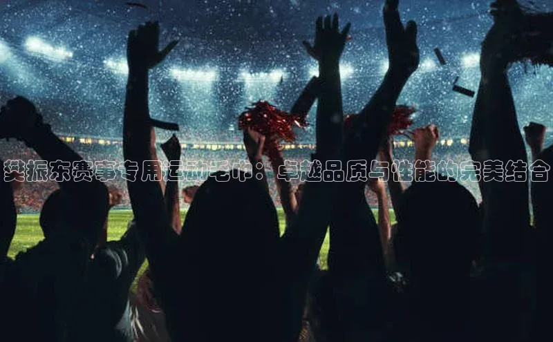 樊振东赛事专用运动毛巾：卓越品质与性能的完美结合