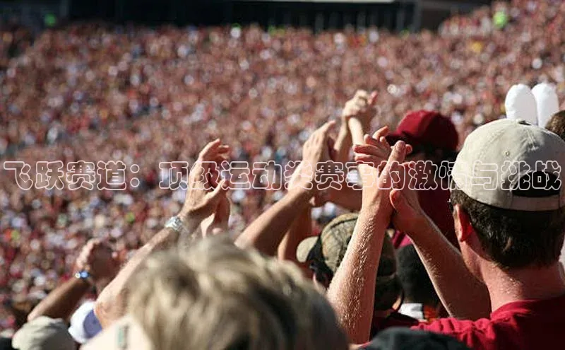 飞跃赛道：顶级运动类赛事的激情与挑战