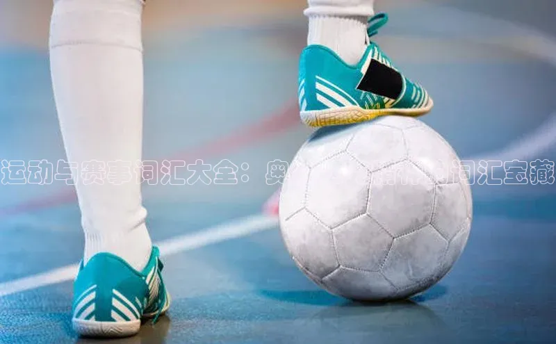 运动与赛事词汇大全：奥林匹克精神的词汇宝藏