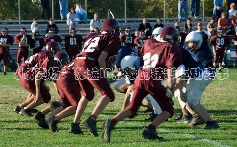 飞跃赛场：体验IP形象的精彩运动赛事