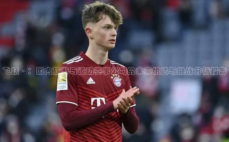 飞跃·：国内旅游与运动赛事公司的未来机遇与挑战分析报告