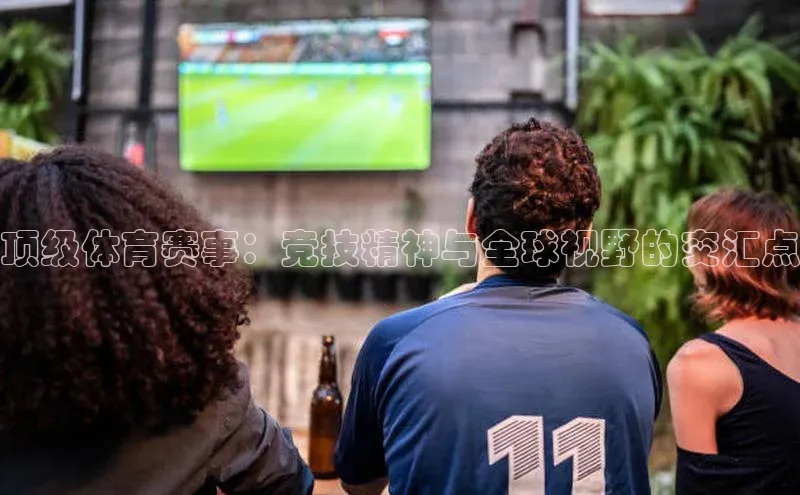 顶级体育赛事：竞技精神与全球视野的交汇点