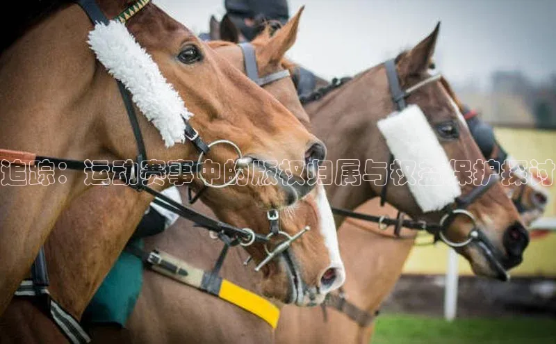 追踪：运动赛事中的版权归属与权益保护探讨