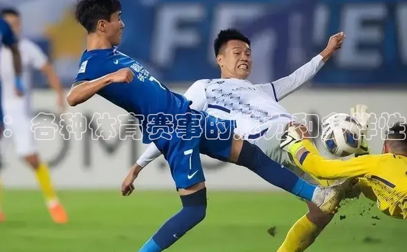 ：各种体育赛事的魅力和多样性