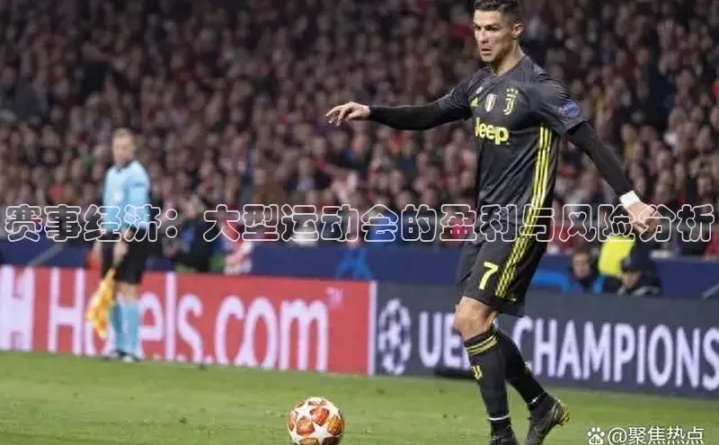 赛事经济：大型运动会的盈利与风险分析