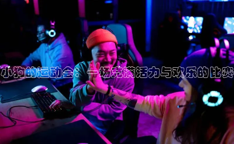 小狗的运动会：一场充满活力与欢乐的比赛