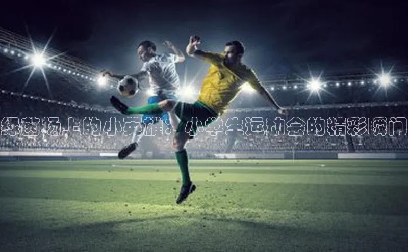 绿茵场上的小英雄：小学生运动会的精彩瞬间