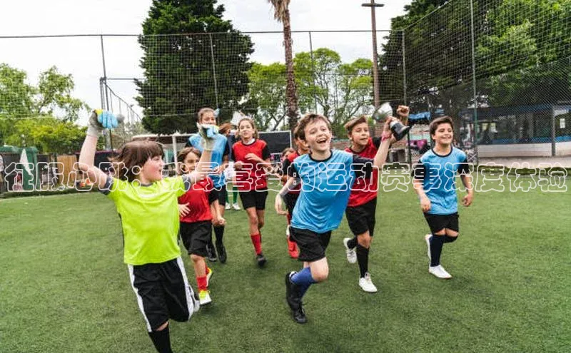 征服心跳：我最喜爱的运动赛事深度体验