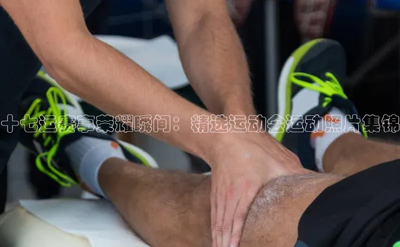 十七运赛事荣耀瞬间：精选运动会运动照片集锦