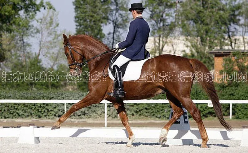 活力四射的童趣盛会：儿童运动赛事精彩瞬间回顾