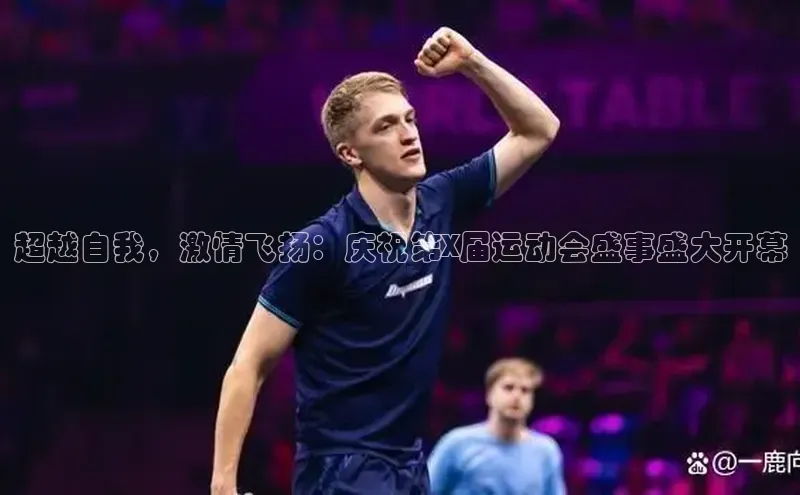 超越自我，激情飞扬：庆祝第X届运动会盛事盛大开幕